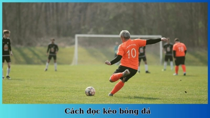 cách đọc kèo bóng đá