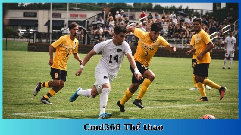 Cmd368 Thể Thao
