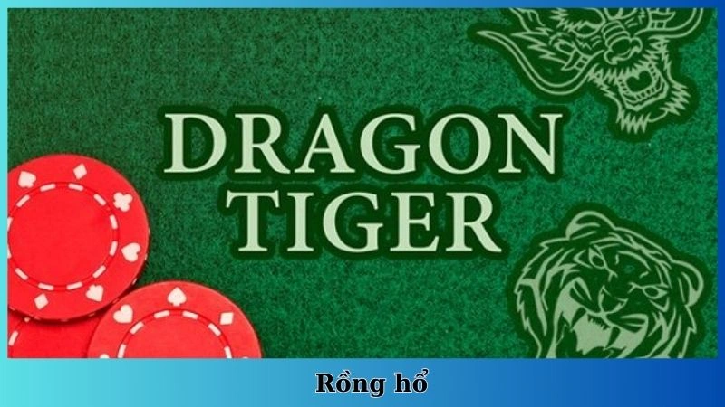 rồng hổ